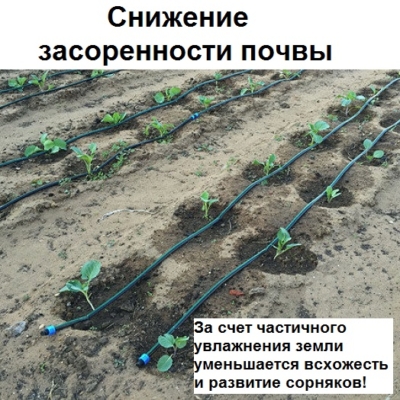 Система капельного Автополива — изображение 6