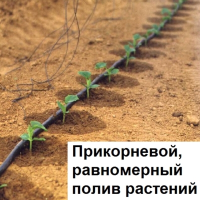 Система капельного Автополива — изображение 5
