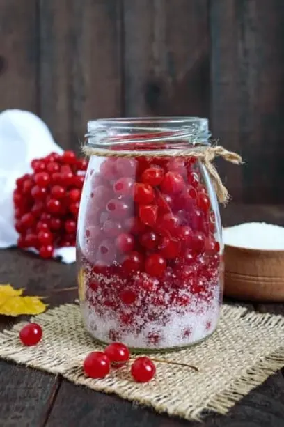  протертая калина с сахаром