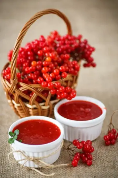  рецепт калина с медом