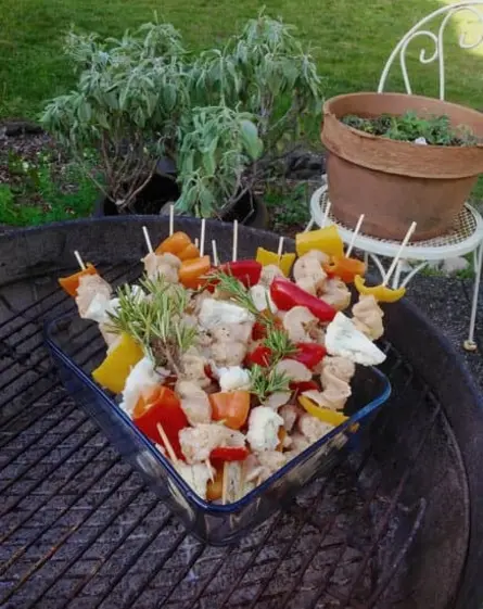 рецепт куриных шашлычков с овощами