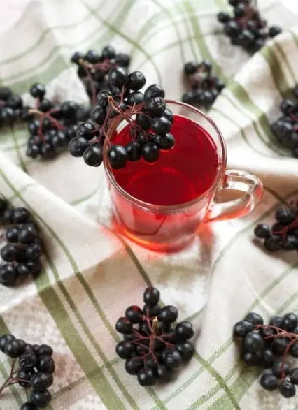 Пошаговый рецепт приготовления вкусного домашнего компота из рябины с фото