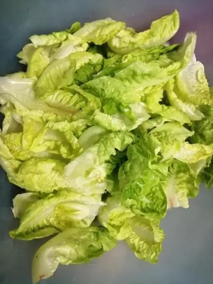  рецепт салата из пекинской капусты с курицей